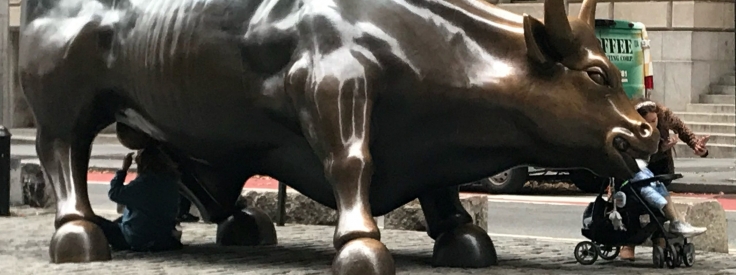 Wall Street Bull Statue in NYC | Midland Resource Recovery